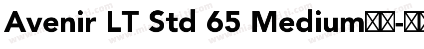 Avenir LT Std 65 Medium粗体字体转换